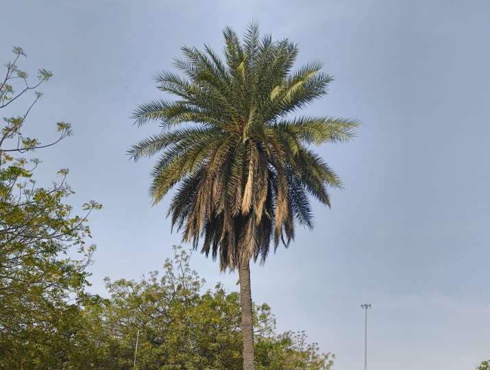 Nothing Phone 2a Review