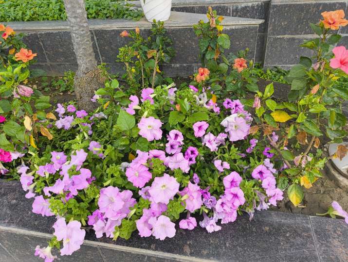 Nothing Phone 2a Review