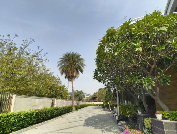 Nothing Phone 2a Review